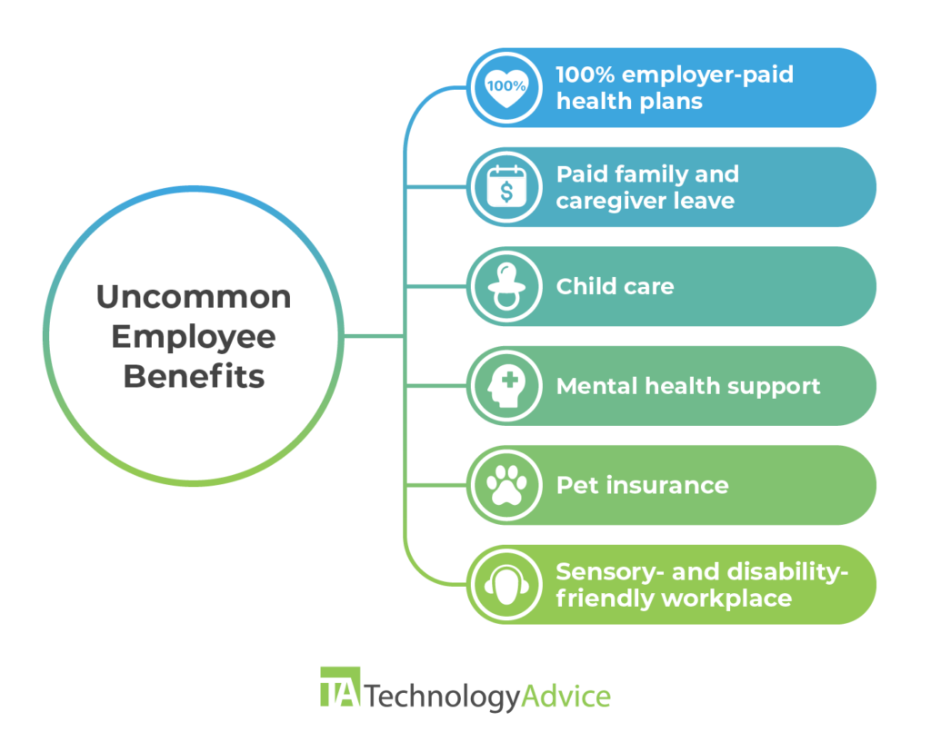 Employee Benefits Guide: Types Of Benefits To Offer In 2024