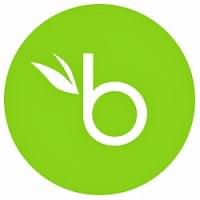 BambooHR logo.