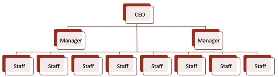 Flat organizational chart example.