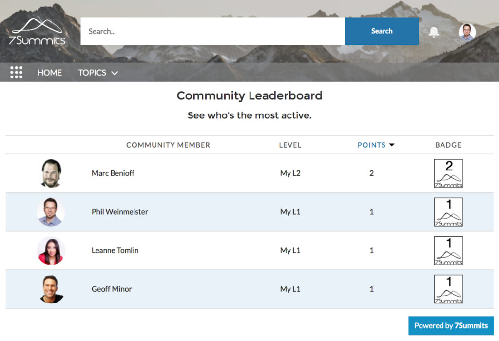 Salesforce gamification system through Leaderboard.