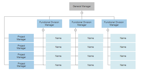 Matrix organizational chart example.
