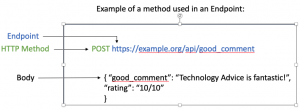 How to Use an API: Just the Basics