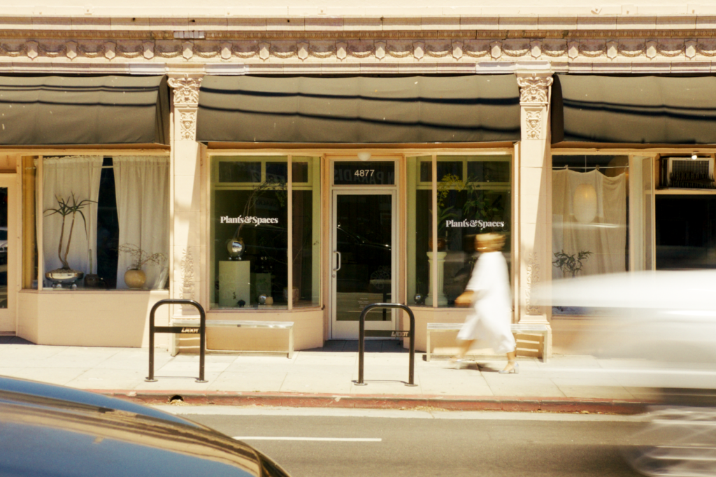 Plants & Spaces store in California.