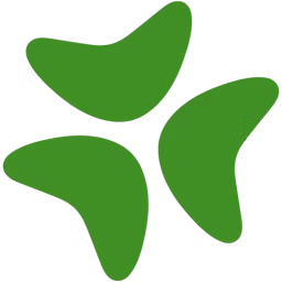 Bloomerang logo.