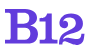 B12 logo