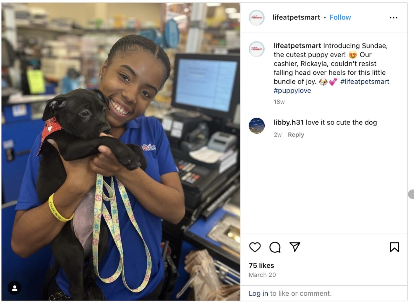 A PetSmart Instagram post showing a cashier holding a dog.