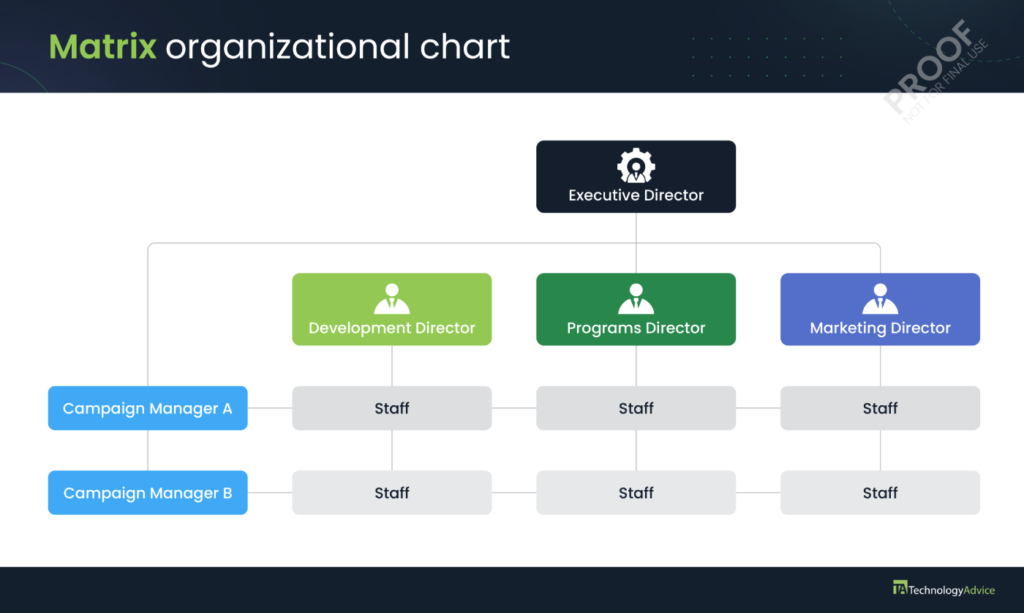 Example of a matrix org chart.