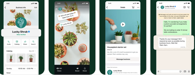 WhatsApp Business profile showing catalog, audio call, and messaging options for a retail store.