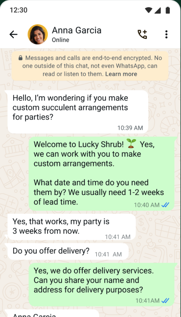 WhatsApp Business chat showing a customer inquiry about custom succulent arrangements and delivery, with a business responding promptly.