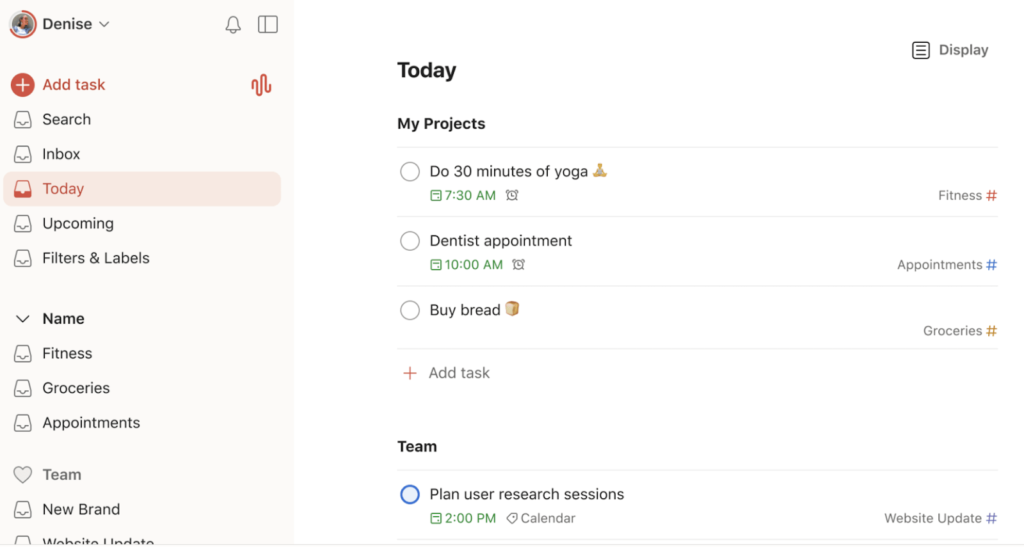 Task list showing daily activities such as yoga, dentist appointment, and user research sessions grouped by project categories.